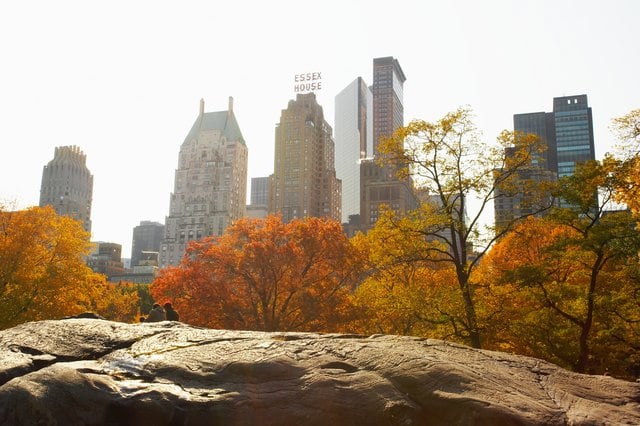 New York State Tax vs. North Carolina State Tax