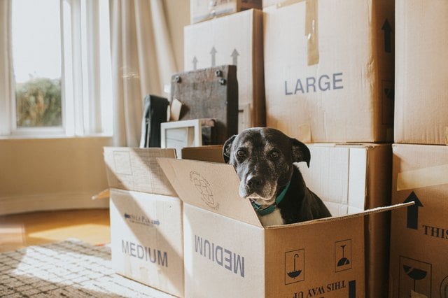 How to Write to a Renter to Clean a Rental