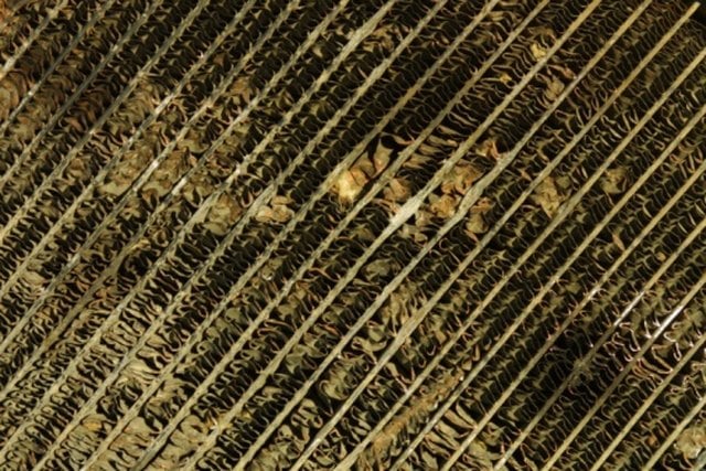 How to Save Money Using Electric Heat