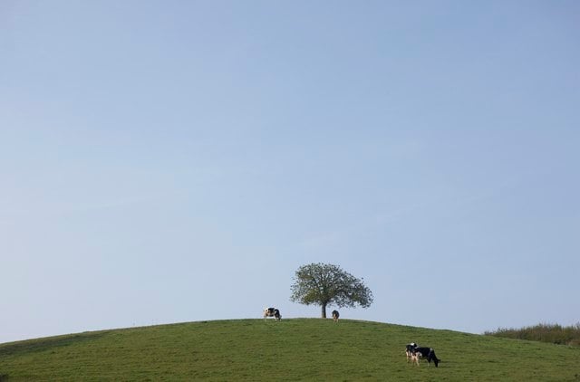 What Is Residual Land Value?