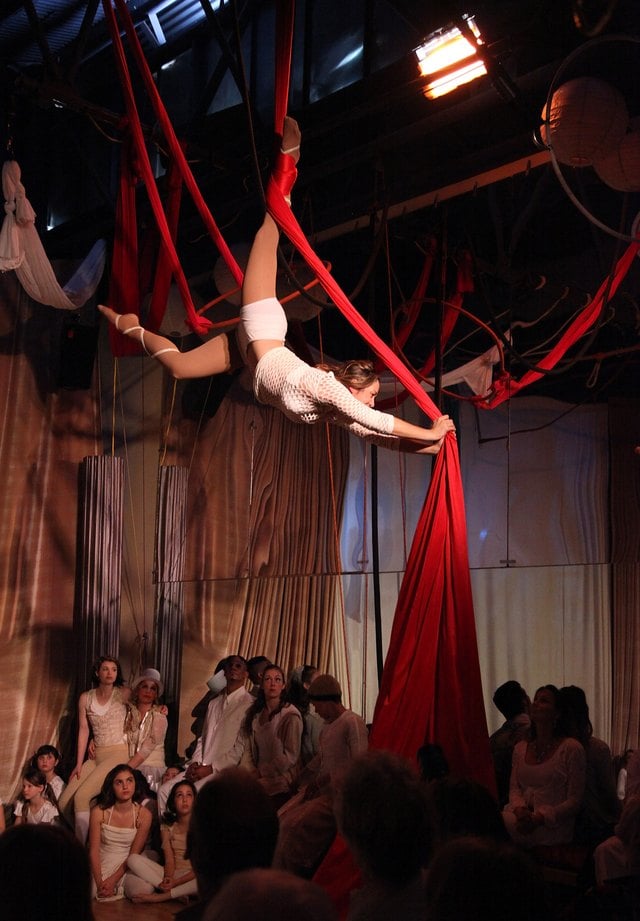 Salary for a Trapeze Artist