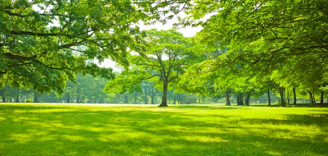 How to Buy Land With No Money Down