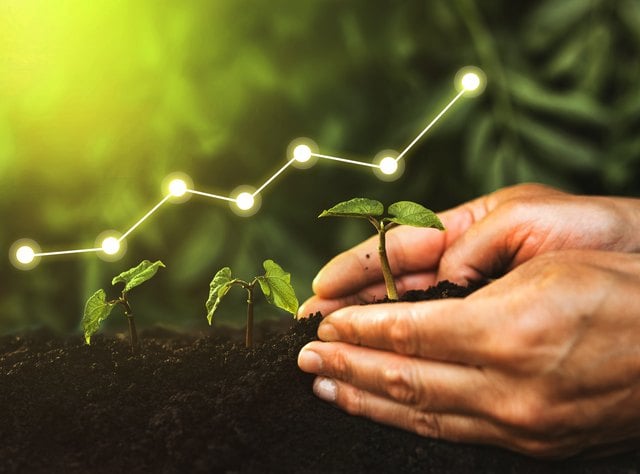 7 Things to Know When Starting a Small Business