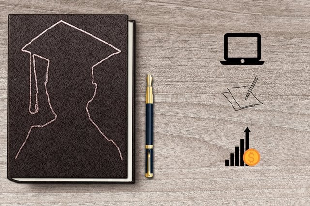 Sapling Education Newsletter