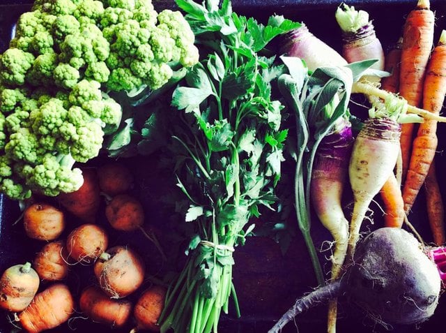 Making the Most of Your Veggie Co-Op