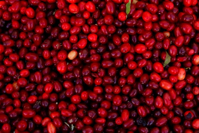 Salary of Cranberry Farmer