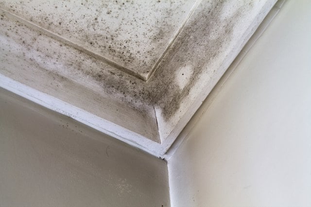 What Is Rent Abatement?