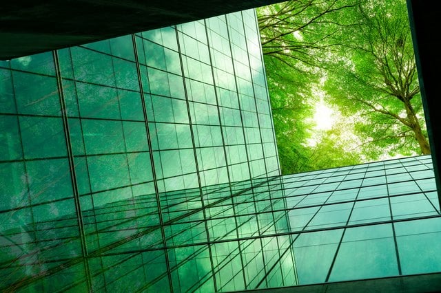 The Inflation Reduction Act & Going Green